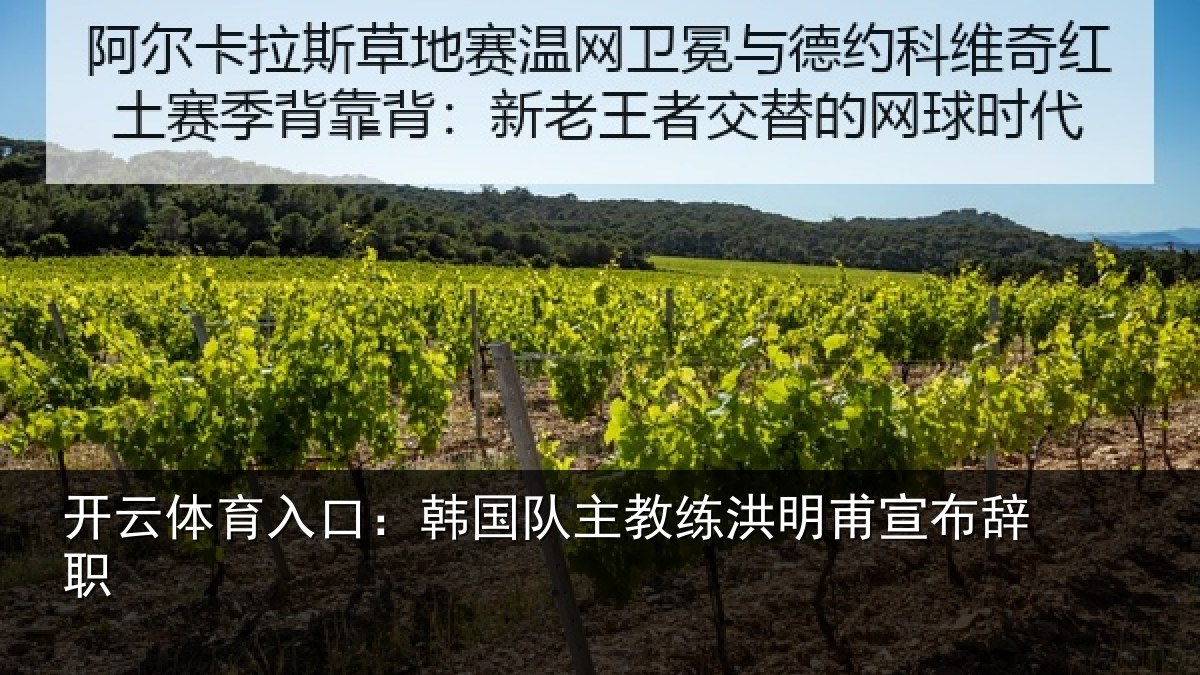 开云体育入口：韩国队主教练洪明甫宣布辞职